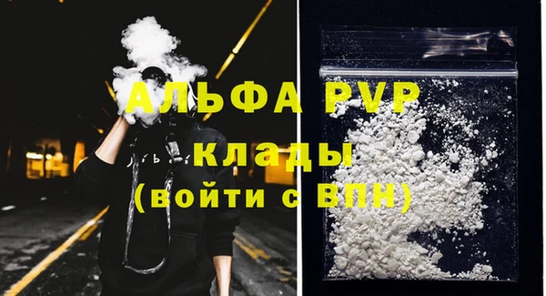 дживик Абаза