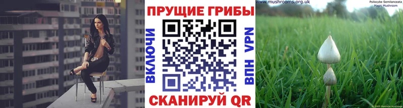 Псилоцибиновые грибы GOLDEN TEACHER  Костерёво 